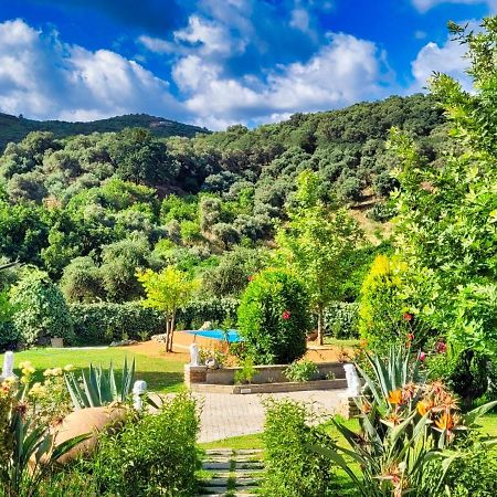 Villa Kalaitsidi - Plunge Pool, Gym And Unique Gardens Skinés Exteriér fotografie